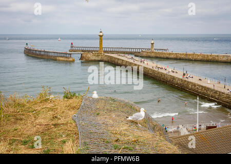 Whitby Harbour e del faro. Foto Stock