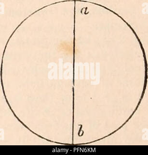 . Il encyclopaedia - Wikizionario di anatomia e fisiologia. Anatomia e fisiologia; Zoologia. 414 MOTION. Il numero di articolazioni mobili in uno scheletro determina il grado della sua mobilità all'interno di sé; e il tipo e il numero di tali articolazioni degli organi locomotori determinare il numero e la disposizione dei muscoli atto- ing su di loro. Vedere l'articolazione. La forza, la densità ed elasticità di scheletro esterno degli animali sono state ma molto parzialmente indagato o reso un ob- ject o fisiologici o meccanica en- quiry, nonostante la loro grande importanza nell'economia animale ge Foto Stock