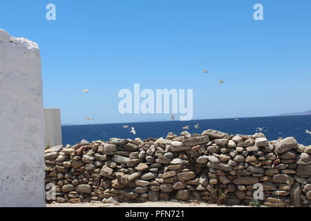 Gabbiani in volo al di là di un muro di pietra a Mykonos in Grecia Foto Stock