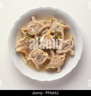 Pelmeni, tradizionale russo gnocchi ripieni di carne, servita in brodo, vista da sopra Foto Stock