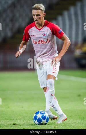 A Belgrado, in Serbia. 21 agosto 2018, Rajko Miti&#x107; Stadium, Belgrado, Serbia; la UEFA Champions League il qualificatore prima gamba, Stella Rossa Belgrado contro la Red Bull Salisburgo; Hannes Wolf di Salisburgo si rompe sulla sfera Credit: Azione Plus immagini di sport/Alamy Live News Foto Stock