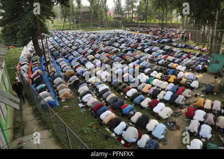 Srinagar Kashmir. Il 22 agosto, 2018. I musulmani del Kashmir offrire preghiere in occasione di Eid al-Adha in un villaggio nel distretto di Anantnag, circa 55 km a sud di Srinagar city, la capitale estiva del Kashmir, 22 Agosto, 2018. Credito: Javed Dar/Xinhua/Alamy Live News Foto Stock