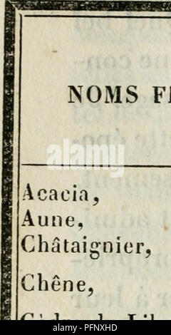 Questo libro didattico discute la progettazione di pittoreschi parchi e giardini, concentrandosi sui nomi francesi e latini di varie specie di alberi, tra cui Acacia, Quercia e Cedro del Libano. Fornisce indicazioni sulla selezione delle piante per il giardinaggio. Foto Stock