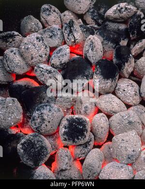 Carboni Ardenti sul barbecue grill Foto Stock