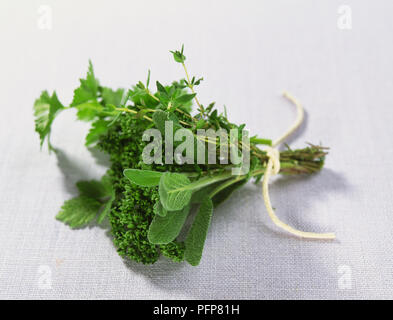 Bouquet garni compresi rametti di timo, salvia, taglio il sedano e il prezzemolo, legati con spago. Foto Stock