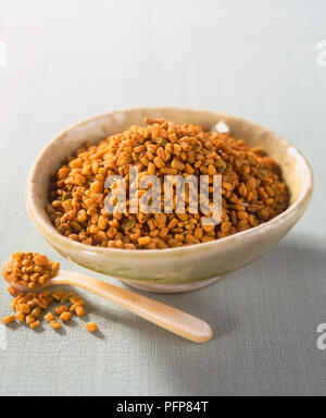 Fieno greco semi in vaso in ceramica e in cucchiaio Foto Stock