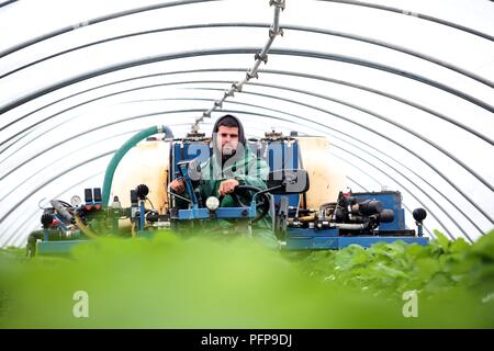 Angus frutta morbida fattoria, Arbroath Foto Stock