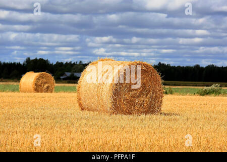 Il paesaggio agricolo del soleggiato golden le balle di paglia sul campo di stoppie con cielo nuvoloso scuro su sfondo. Foto Stock