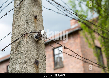 Pilastro di calcestruzzo elettrica per filo spinato davanti a caserma dell'ex campo di concentramento nazista di Auschwitz, Polonia Foto Stock