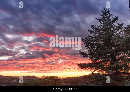La vibrante rosa, arancione, giallo e lavanda tramonto, paesaggio rurale,, grandi pini, querce live sunset skyin Southern California Foto Stock