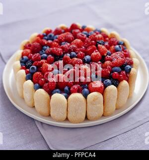 Fragola, lampone, mora e mirtillo charlotte con le dita in spugna sulla piastra bianca Foto Stock