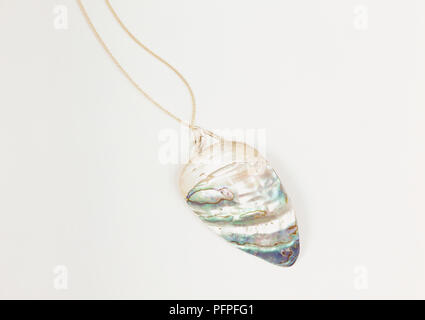 Abalone conchiglia di mare, pendente Foto Stock