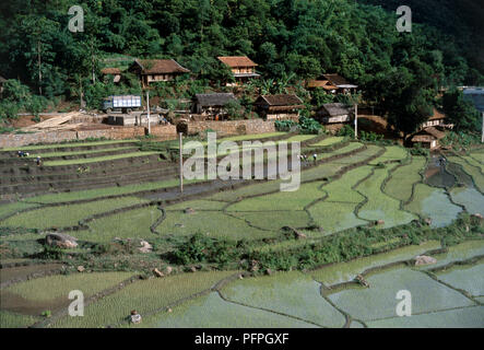 Il Vietnam, Moc Chau, bianco villaggio thailandese e di riso paddy terrazze, vista aerea Foto Stock