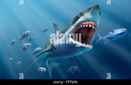 Illustrazione Digitale del grande squalo bianco di nuoto con la bocca aperta underwater seguita da banchi di pesci, close-up Foto Stock