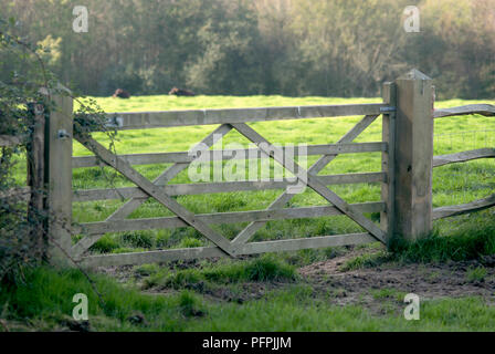 Fattoria, close-up, due animali in background distanti Foto Stock