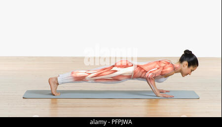 Struttura muscolare sovrapposto sul corpo della donna facendo push-up su esercizio mat, vista laterale Foto Stock