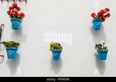 Facciata di una casa tradizionale con una decorazione di piastre in ceramica e vasi di fiori colorati nello storico quartiere Albaicin. Foto Stock