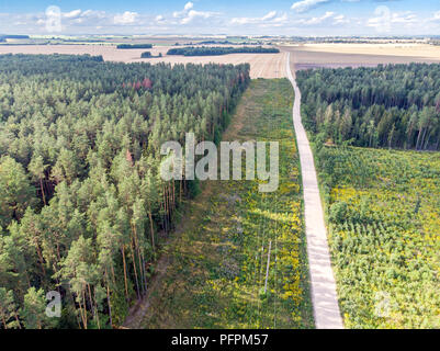 Antenna vista superiore del paese su strada attraverso campi e foreste in estate Foto Stock