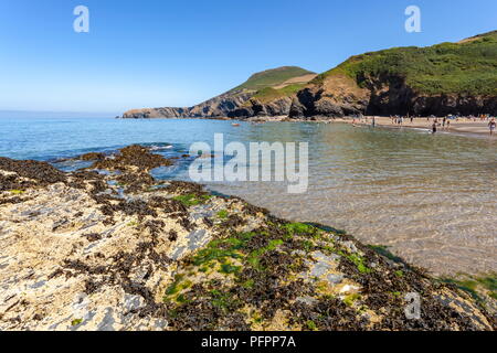 Pendinas Lochtyn visto attraverso la baia dalla spiaggia Llangrannog, Ceredigion, Galles Foto Stock