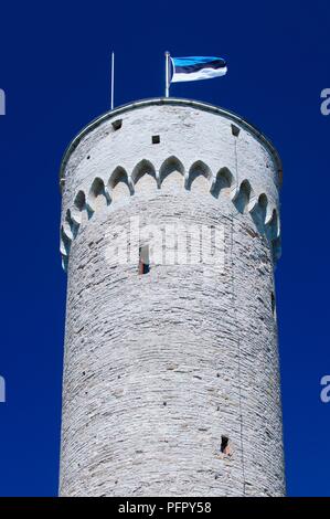 Estonia, Tallinn, Toompea, Pikk Hermann tower con bandiera estone Foto Stock