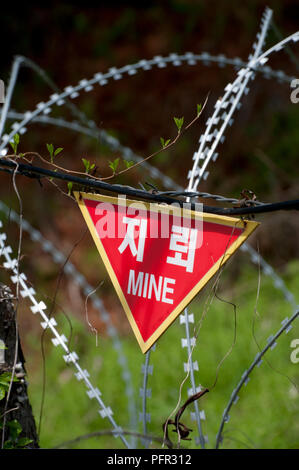 Corea del Sud, Seoul, zona demilitarizzata (DMZ), il filo spinato sul bordo del campo minato, close-up Foto Stock