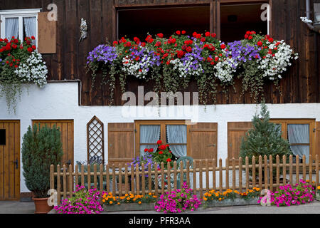 Muro di casa con fiori colorati, Oberstdorf, Allgaeu, Baviera, Germania Foto Stock