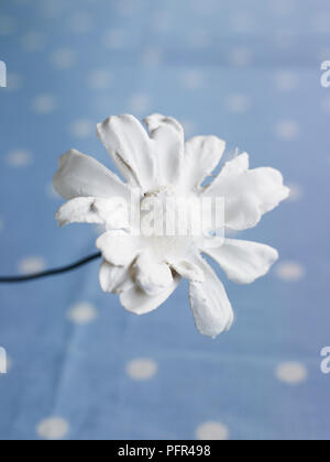 Gesso di Parigi fiore Foto Stock