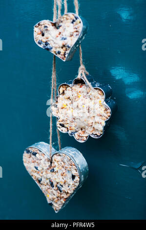 Torte di uccelli nel cuore di forme Foto Stock