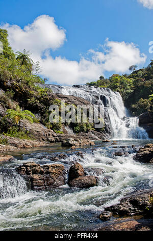 Sri Lanka, provincia di Uva, Nuwara Eliya, panettiere Falls, Horton Plains National Park, vista della cascata Foto Stock