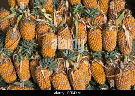 Sri Lanka, ananassi per la vendita nel mercato, close-up Foto Stock