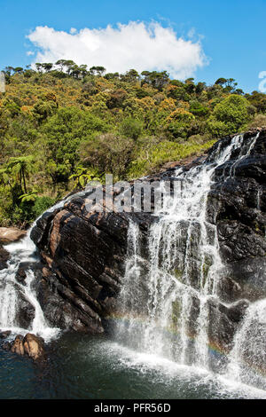 Sri Lanka, provincia di Uva, Nuwara Eliya, Horton Plains National Park, vista del panettiere cade Foto Stock