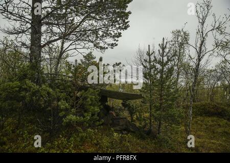 Norwegian Coastal Ranger Commandos (KJK) esercitano la sorveglianza e ricognizione da un punto di osservazione durante l'esercizio Platinum Ren a Sorreisa, Norvegia, 22 maggio 2018. Marines con il primo plotone, 1° Battaglione di ricognizione, 1° Divisione Marine, condotto l'esercizio in congiunzione con KJKs per sostenere la missione le attività essenziali in un severo ambiente operativo e di rafforzare i partenariati di coalizione. Foto Stock