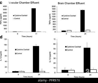 Camera di cervello con e senza 24 ore di esposizione a 100 μg/ml LPS o cocktail di citochine di 100 ng/ml di TNF-a, IL-1β, e MCP1,2. Canali verde e rosso sono presi dallo stesso telaio. Barra di scala è 200 μm. L'unità neurovascolare è in grado di trasportare citochine infiammatorie da vascolare, al vano neuronale in risposta a stimoli infiammatori. I grafici indicano il trasporto di IL-1β e TNF-a a cellule neuronali (cervello) vano indicando una modulazione della funzione di barriera ematica del cervello in unità neurovascolare. (Immagine: credito Jacquelyn A. Marrone, Clayton M. Britt, Ronald S. Reiser Foto Stock