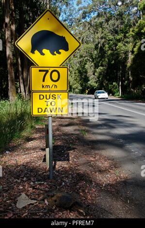 Australia, Central Victoria, Trentham, wombat segno 2 (20090106) Foto Stock