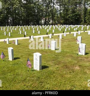 Anniston Army Depot dipendenti, i soldati e i pensionati provenienti da tutta la contea di Calhoun posto bandiere a 355 tombe a McClellan cimitero militare in onore di coloro sepolto qui e membri dei militari che hanno compiuto il sacrificio estremo. Foto Stock