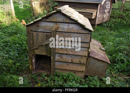 Hen coop, close-up Foto Stock