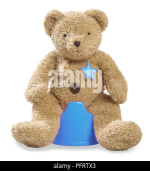 Teddy seduta sul vasino blu Foto Stock