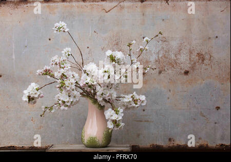 Blossom Foto Stock