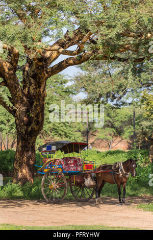 A cavallo con il carrello in attesa di turisti nell'ombra di Bagan, Myanmar. Foto Stock