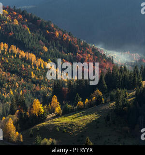 Colorato paesaggio autunnale nel villaggio di montagna. Mattinata nebbiosa nelle montagne dei Carpazi, Ucraina Foto Stock