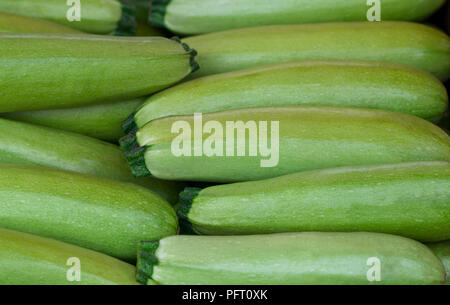 La luce verde di zucchine fresche impilati in un heap ripresa dall'alto. Foto Stock