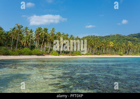 Le palme sulla bellissima spiaggia tropicale di Koh Chang island in Thailandia Foto Stock