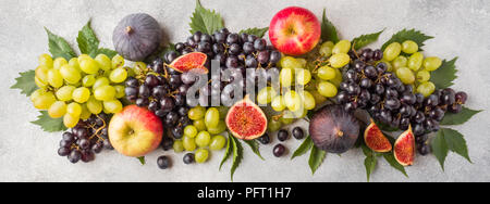 Banner di freschi frutti d'autunno. Uva nera e verde, fichi e foglie su un tavolo grigio Foto Stock