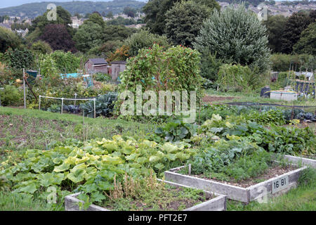 Assegnazioni in Oldfield Park, Vasca Spa, Somerset, Inghilterra, Regno Unito Foto Stock