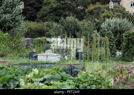 Assegnazioni in Oldfield Park, Vasca Spa, Somerset, Inghilterra, Regno Unito Foto Stock