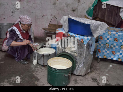 Yogurt venditore nel bazaar a Murghab sull'Autostrada del Pamir, Tagikistan Foto Stock