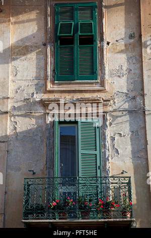 L'Italia, Viterbo, Lazio, verde balcone con vasi di piante e persiane verdi sulla finestra sopra il vecchio edificio nel centro storico della città di Tarquinia Foto Stock
