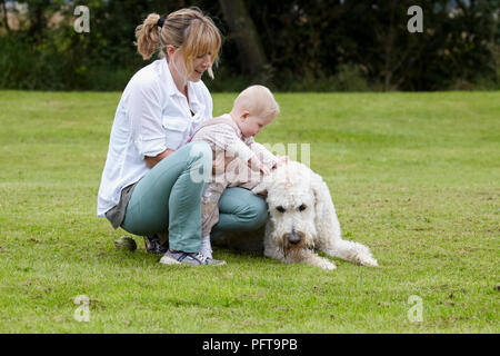 Labradoodle: con la famiglia Foto Stock