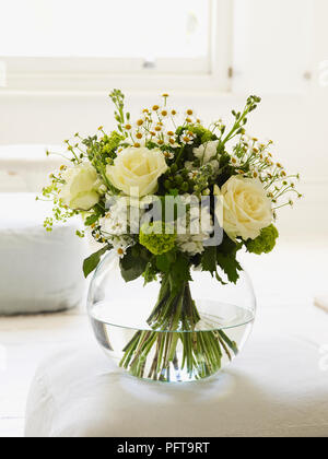 Il bianco e il verde mano tie bouquet, camomilla, alchemilla mollis, viburno, rose rosa bianca, iperico, stock Foto Stock