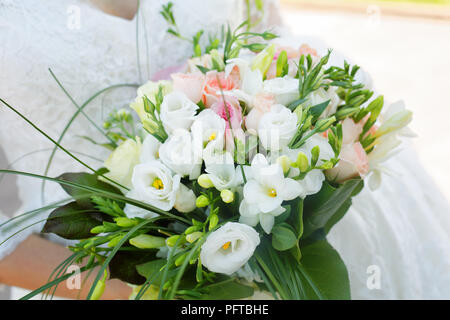 Bellissimo matrimonio. Buon sposo e sposa nella natura Foto Stock